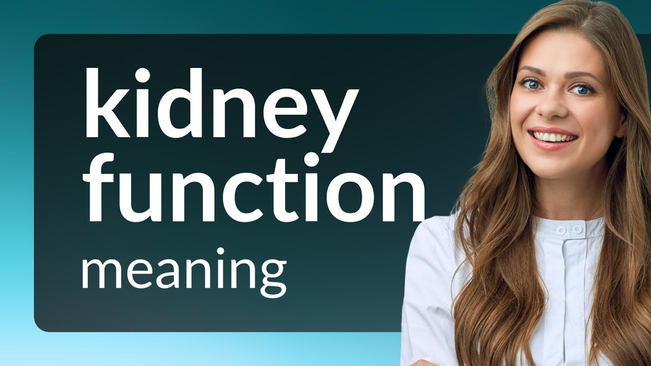 Understanding "Kidney Function" A Guide to English Language Learners