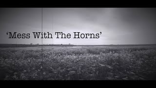 ‘Mess With The Horns’ original guitar music