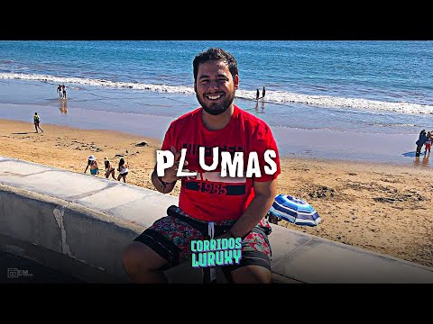 Plumas 🎩 Grupo 360 🎩LETRA/LYRICS🎩