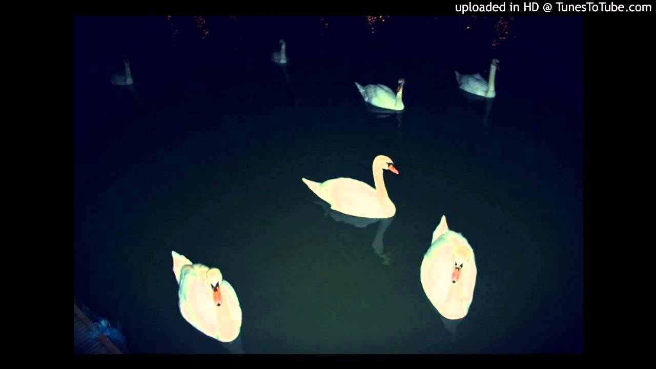 Public Lover - Naked Figures (Bruno Pronsato Remix)