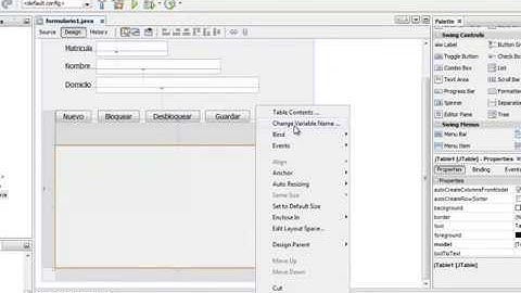 VER REGISTROS DE LA BD EN EL FORMULARIO | NETBEANS.
