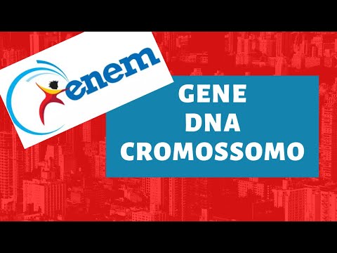 Vídeo: Quais são os três principais recursos usados para ler os cromossomos?
