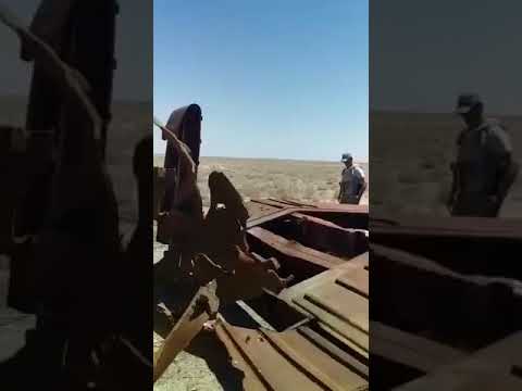 Video: Yerli özüyeriyən artilleriya