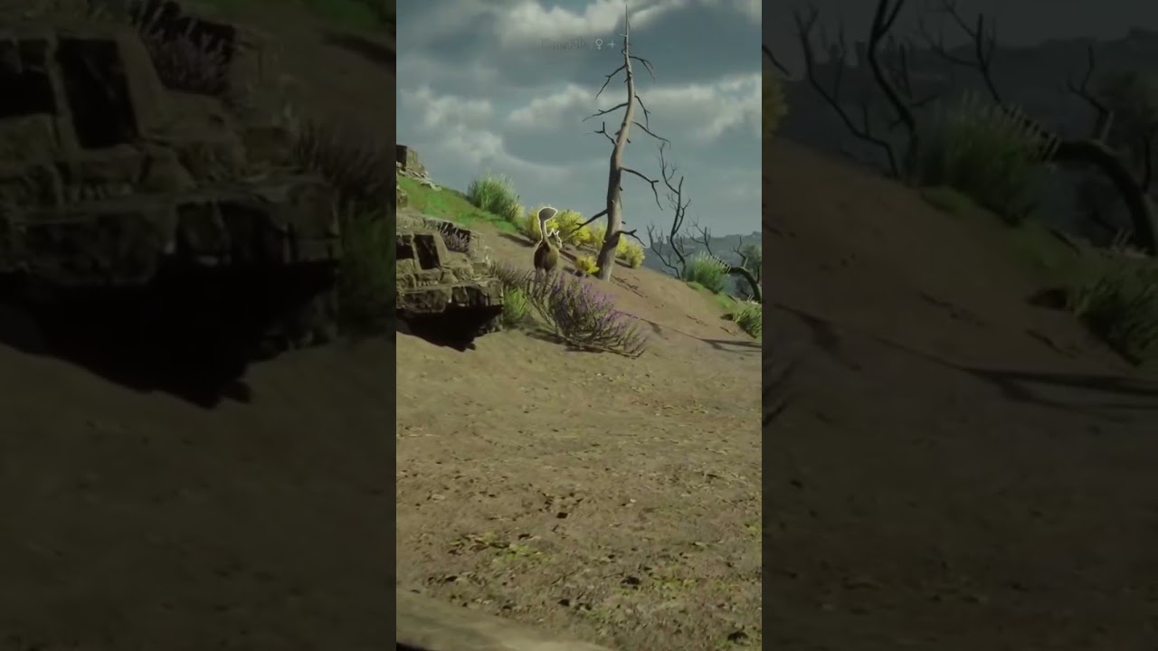 I Have Just Made A Crazy Find! 3 Shiny Kneazles In One Location In Hogwarts Legacy! 