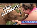 An Emotional Elephant Experience | Chiang Mai, Thailand | C&A Lost Files