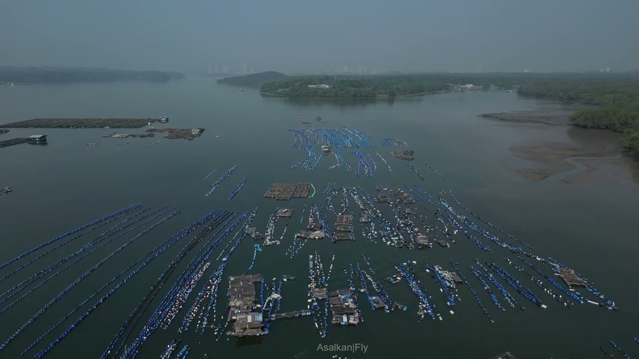 Mussel lines of Kg Sg Temon