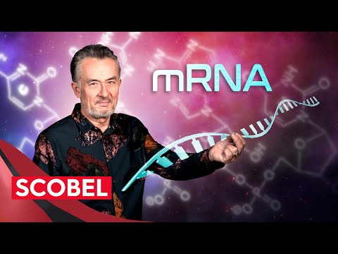 Video: Wohin geht die mRNA jetzt?