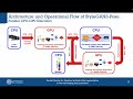 Parallel Pipeline for Adaptive Synthetic Data Augmentationin Thermal Imaging Pose Estimation