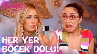 Fitnat, Selenanın Pastanesine Böcek Getirdi - Selena 44. Bölüm