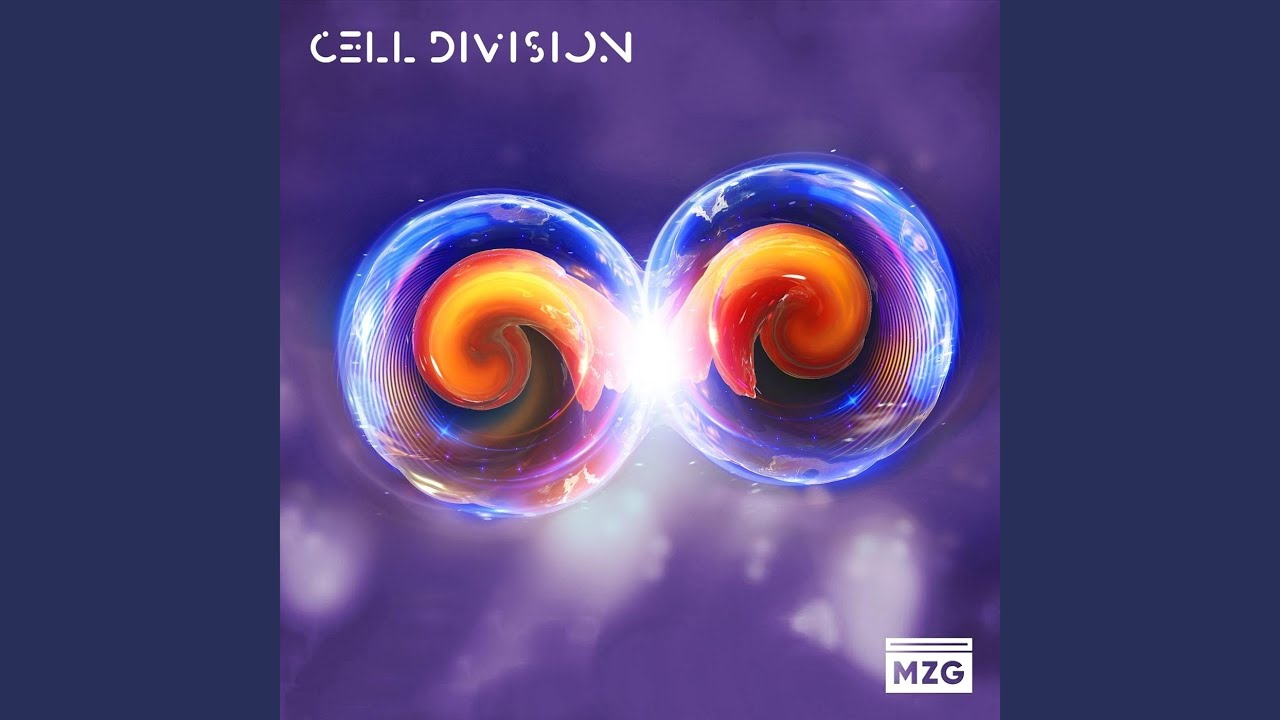 Watch Metaphase on YouTube Watch Metaphase on YouTube