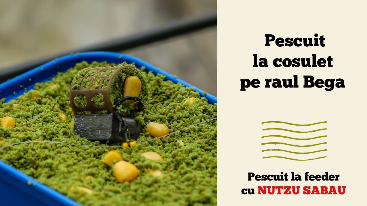 Pescuit la cosulet pe raul Bega