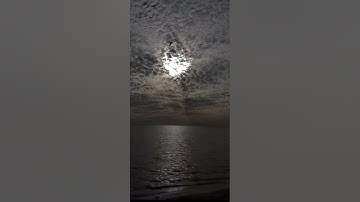 سورة الملك بصوت هزاع البلوشي | تلاوة تريح القلب مع صوت  البحر الهادئ 🌊📖