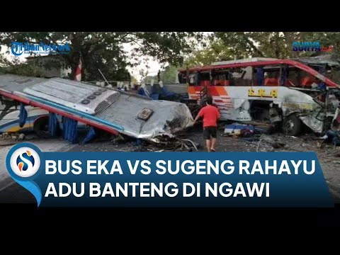 BREAKING NEWS: Bus Eka vs Bus Sugeng Rahayu Adu Banteng, Kondisi Bodi 2 Bus Ringsek Parah