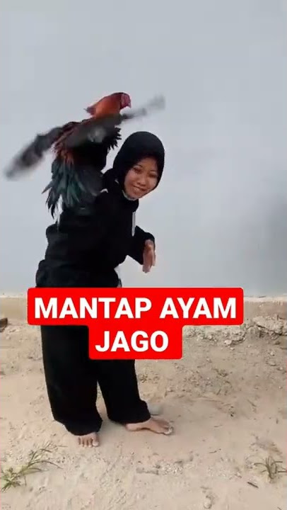 TES AYAM JAGO PSHT‼️ persiapan jadi warga#short #bts