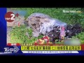 南韓遭北韓垃圾氣球襲擊