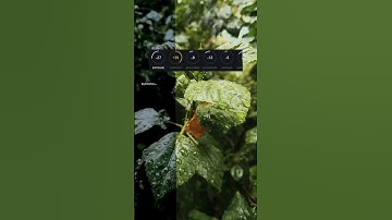 Vn Color Grading Tutorial #shortsvideo #photoedit