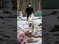 Cute Animals Rescue Animalslovers Cute Animals Rescue Animalslovers