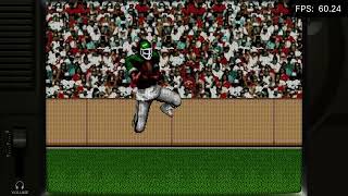 Tecmo Super Bowl II 1994 Season