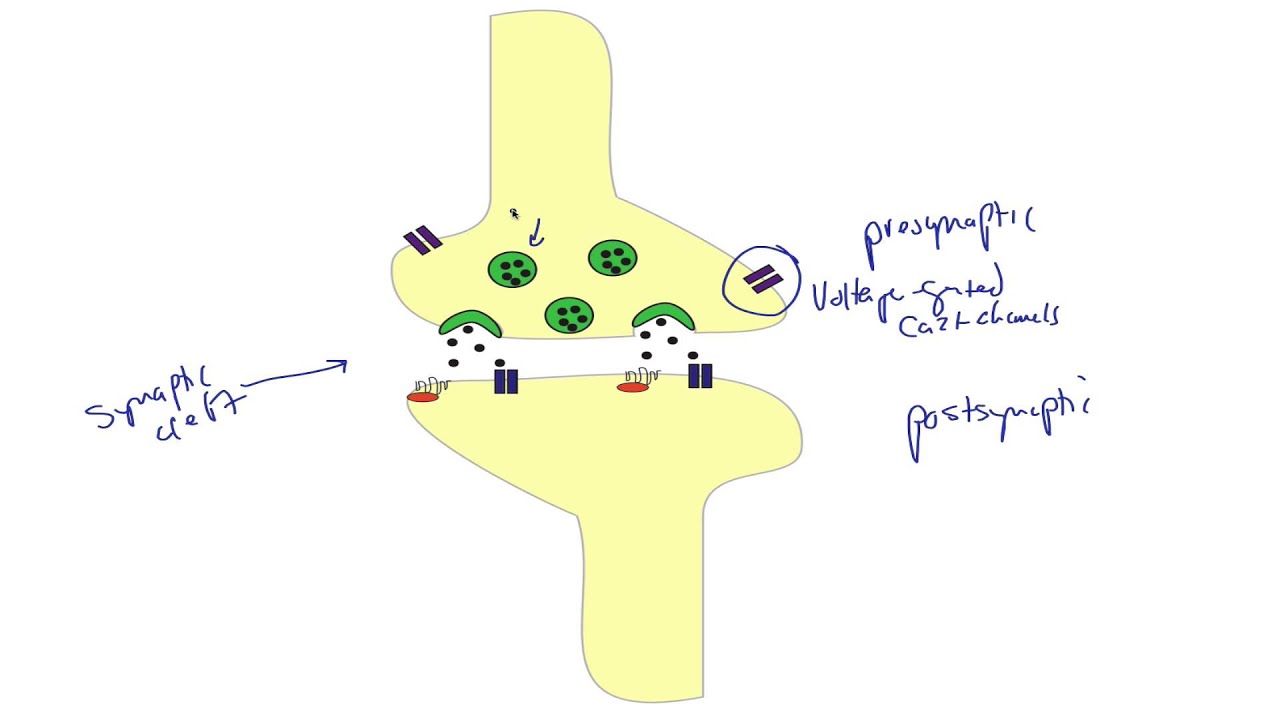 khan academy mcat chemistry khan academy mcat chemistry