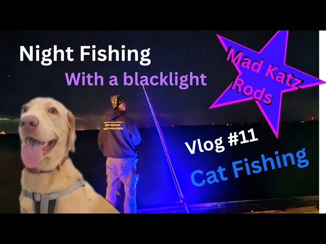 Vlog #11 Night cat fishing with blacklights, mad katz rods, an my dog.  Cocoa Florida, Indian River 