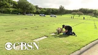 Celebrity 93-year-old WWII veteran takes three buses every day to visit wife's grave Net Worth