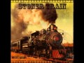 Stoner Train - The Desert and the Snake