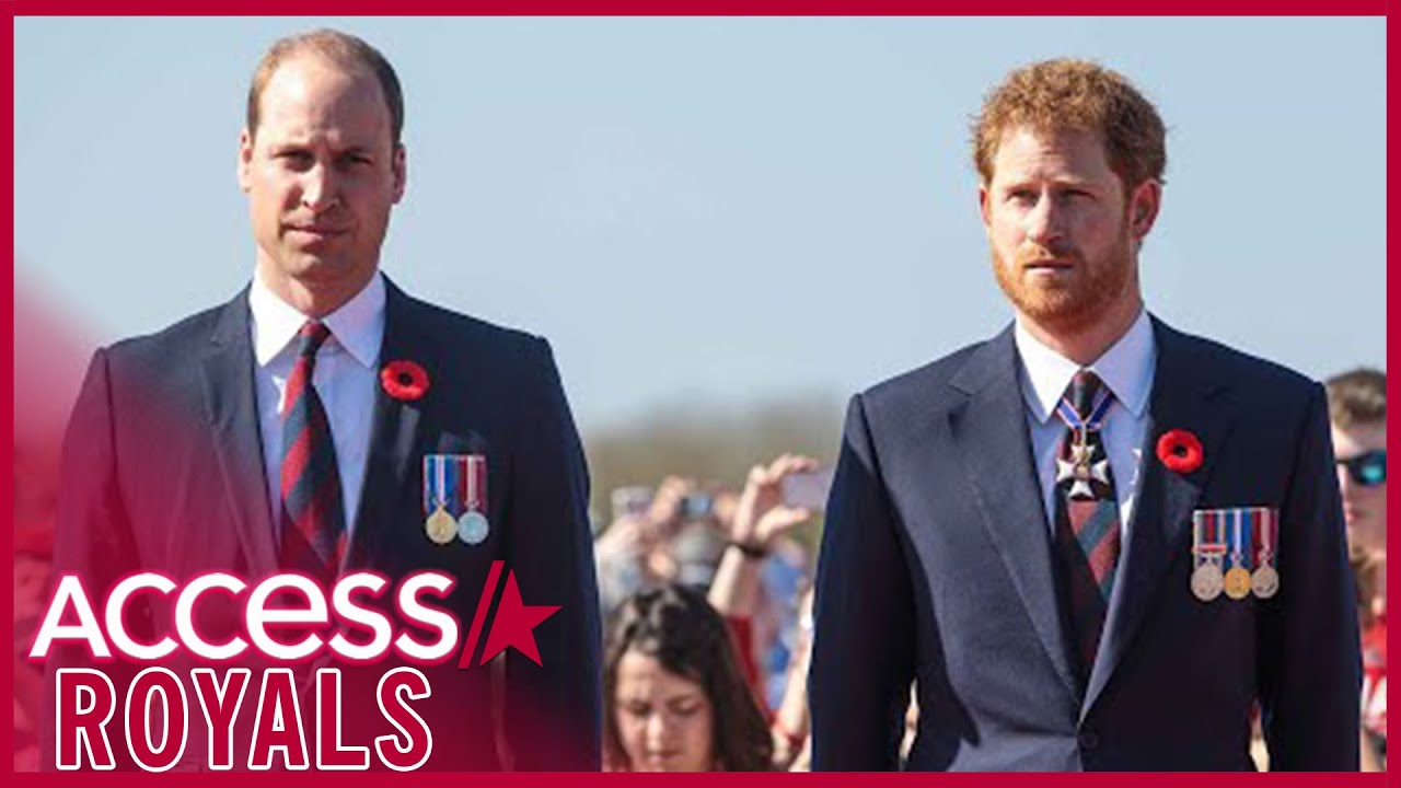 Prince Harry & Prince William To Walk Behind Queen Elizabeth’s Coffin In London Procession