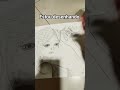 eu acho q ta bonito