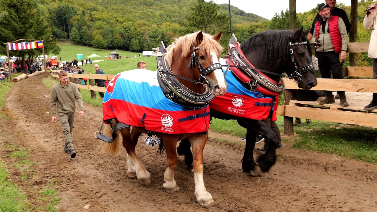 - FURMANSKA TAKMIČENJA U SLOVAČKOJ STATUSNI SIMBOL TRADICIJE -