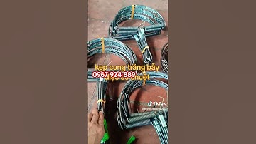 KẸP bẫy Chuột, Chim ,Cò, Vạc giá Rẻ.