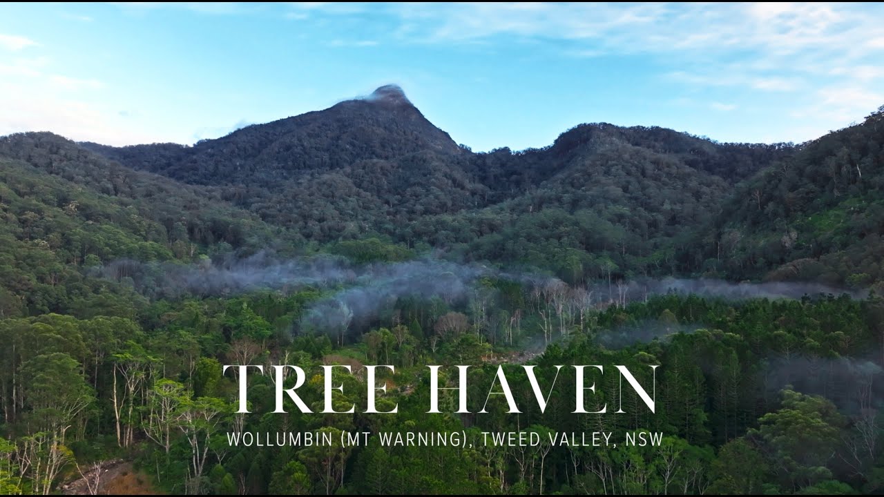 ‘Tree Haven’, Tweed Valley, NSW