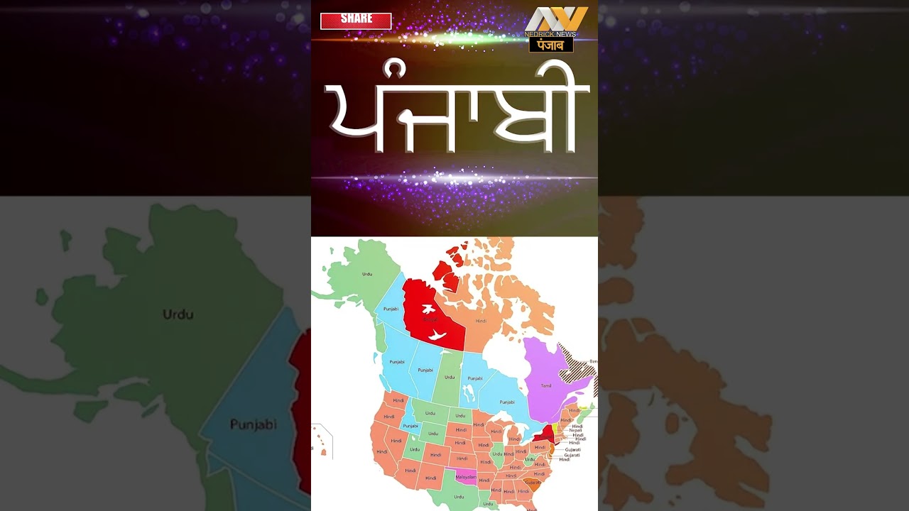 पंजाबी भाषा अस्तित्व में कैसे आई? History of Punjabi Language | Nedrick News Punjab