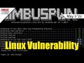 Linux Vulnerability Could Lead To Privilege Escalation - ThreatWire