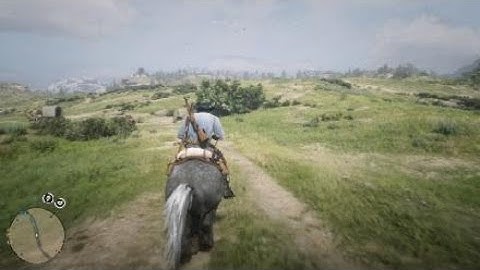 Red Dead Redemption 2