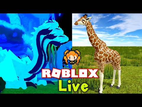 Roblox Live Stream Dragon Adventures Wild Savannah Testing A - wild savannah roblox how to pounce rainbow spin wheel