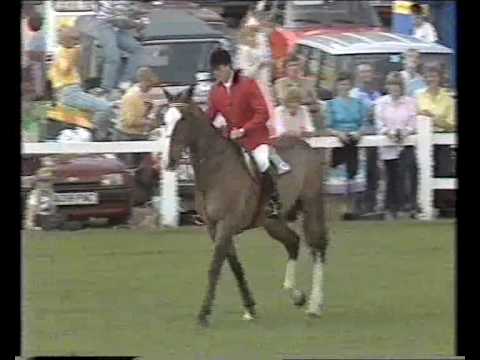 Ryan's Son & John Whitaker - Hickstead Derby 1986