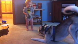 Baby and Husky, Deep in Conversation