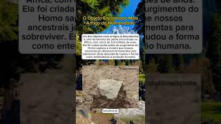 Um artefato que atravessou milhões de anos