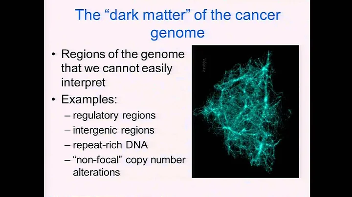 HGP10 Symposium: Biological and Therapeutic Insigh...