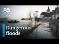 Can nature itself save us from the effects of climate change? | DW Documentary