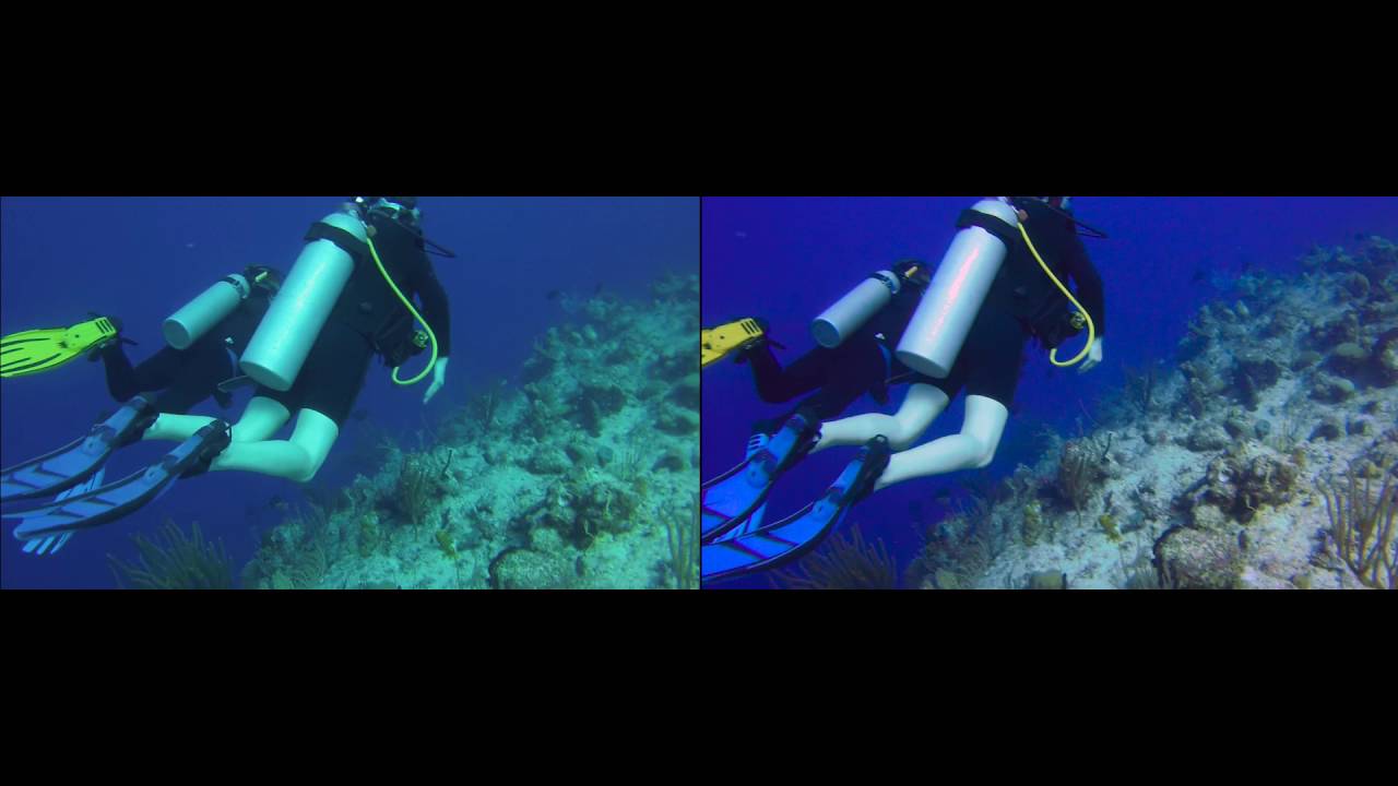 Simple Adobe Premiere Color Correction (Underwater Footage) YouTube