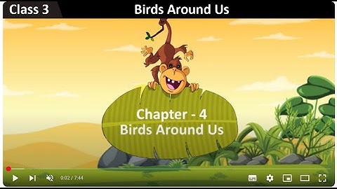 Class 3 Science SEM 1 Chapter 4 - Birds Around Us