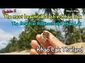 The most beautiful beach in Khao Lak \ The Beach at Robinson Club Khao Lak Thailand