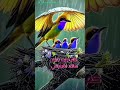 قد جئت بابك سائلا فأجبتني من قبل حتى أن يقول لساني