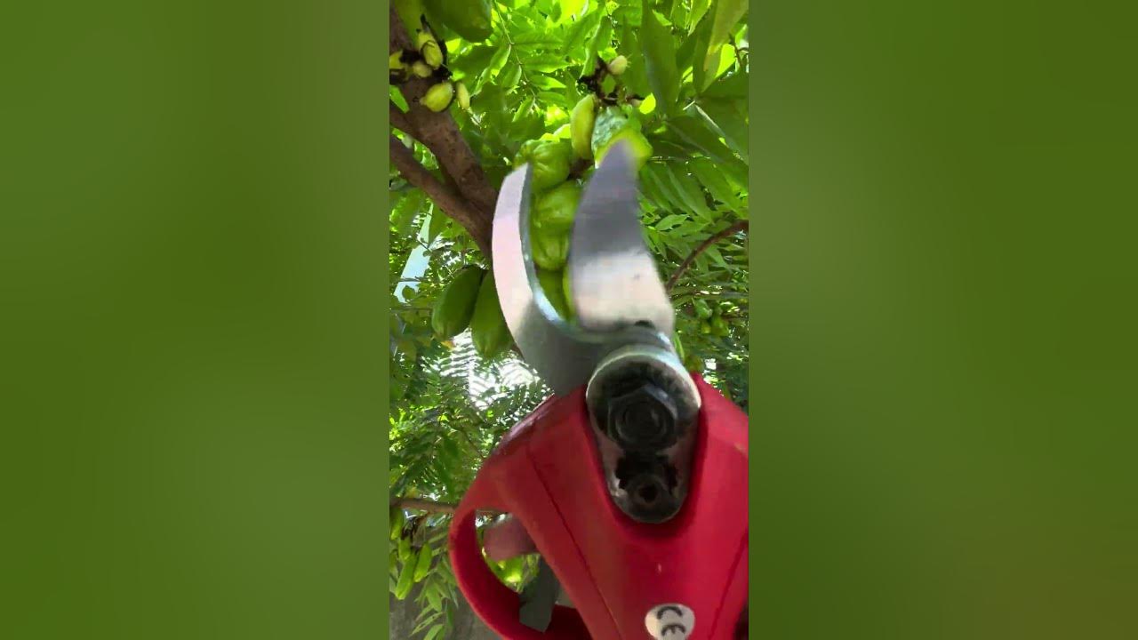 electric scissors easy use save time tool P1758 YouTube