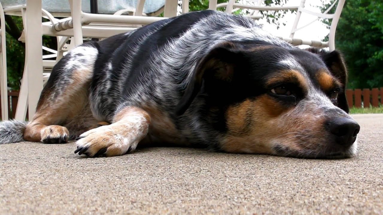 Freeway laying down - Sanyo VPC-FH1A Test footage