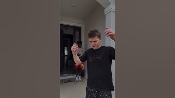 Is that a Mockingbird?