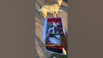 Thumbnail of This Man Found His Dog In The Missing Dog Poster 💔😭 #shorts