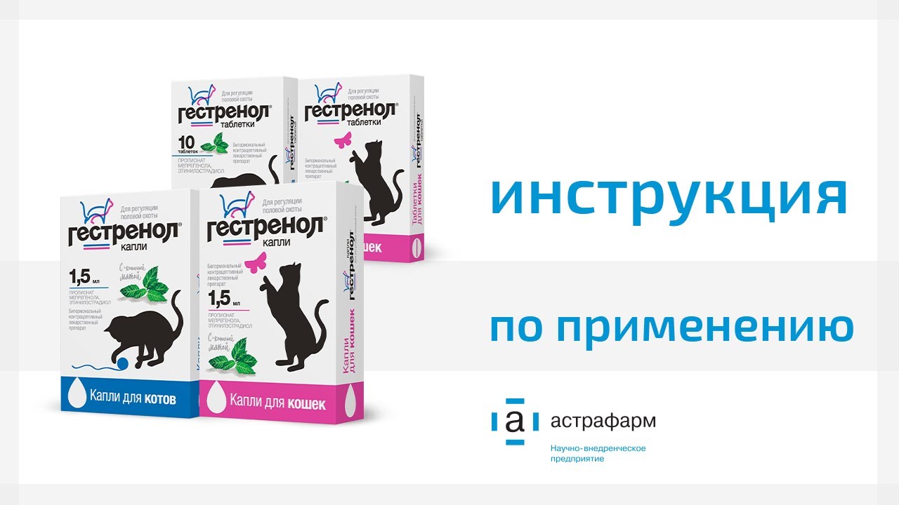 Инструкция по применению: препарат Гестренол. Помощь котам и кошкам во время течки