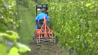 Tracteur à Chenilles LOEFFEL Viti-Plus 95 av cultivateur+interceps